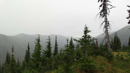 Not much to see from the summit... 