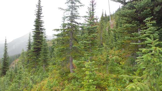 Soggy and very slippery... 