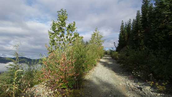 The spur road gained more than 400 m elevation 
