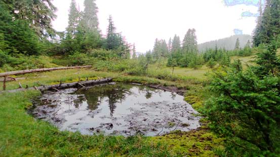 A little tarn along the way. Not many mosquitoes around though which was good...