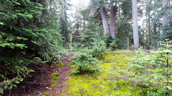 The trail was mostly easy to follow