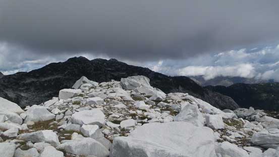 Lots of white granite rocks along the ridge