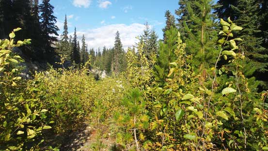 Down to the upper end of that spur road