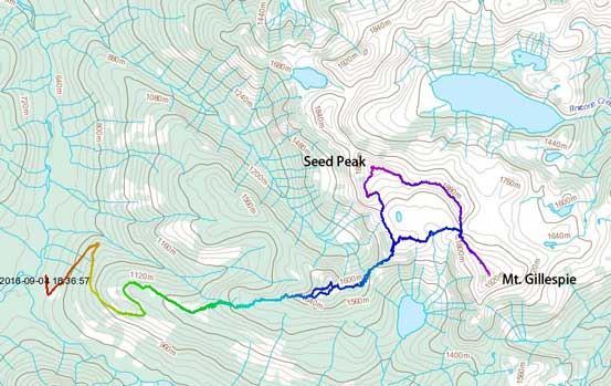 Mt. Gillespie and Seed Peak scramble route