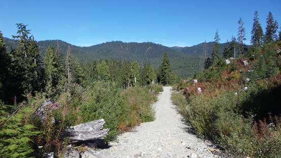 Hiking up Dunkeld Spur