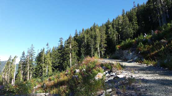 The end of the spur road