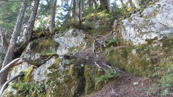 Picking a way up through a bluff