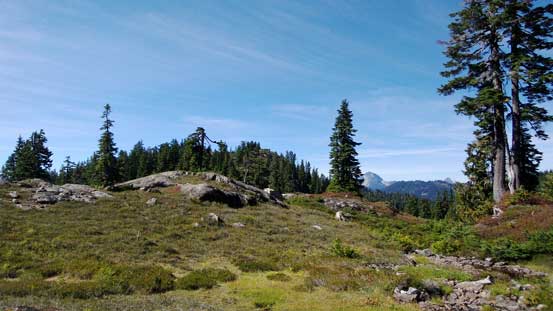 Nice and open meadows, but with fair amount of micro-terrain