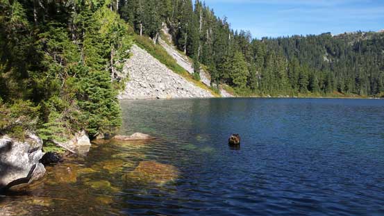 After some moderate bush I made down to this lake