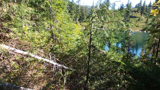 But thrashing through these wasn't very pleasant...