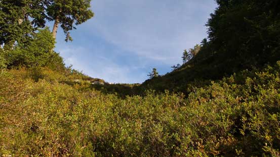 Arriving at the shoulder now