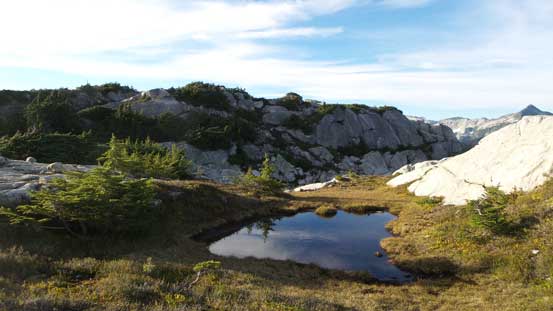 Another micro tarn that I passed