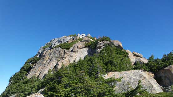 Bashing up this bump which involved some bush