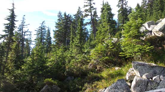 Uphill thrash to merge onto that bench traverse