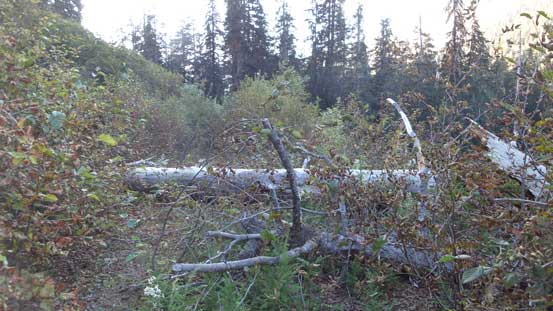 This is the status of the S-100 spur road