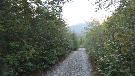 Finally back to Mamquam Main, still had more than 1 km of road plod