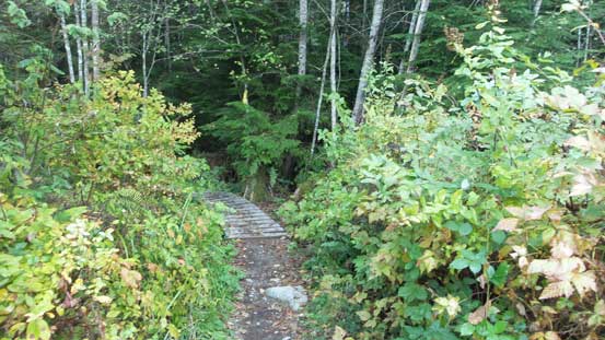 Taking the S+M Connector