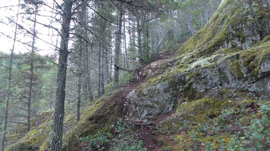 Then up the side-branch. This is the typical terrain