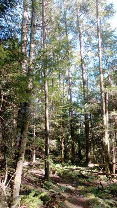 Not much to see now.. 