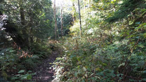 Back to S+M Connector