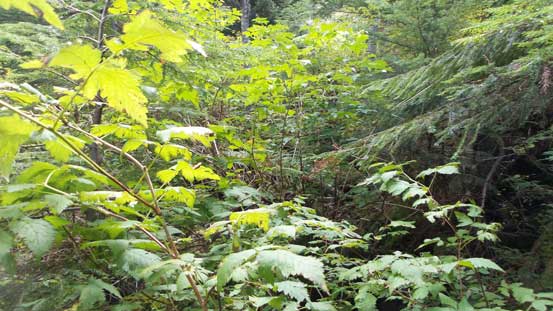 Not very pleasant.... 