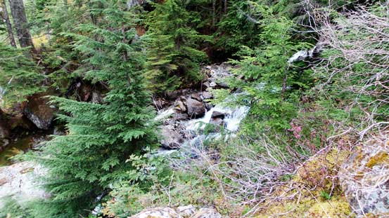 Finally reached the creek now. Time to ascend parallel on the right side bank. 