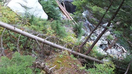 Ascending steeply up the opposite bank. 