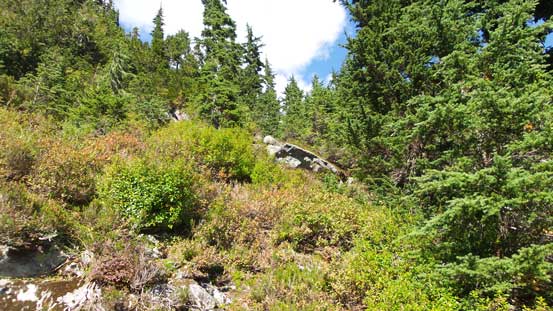 Lots of slippery ground though