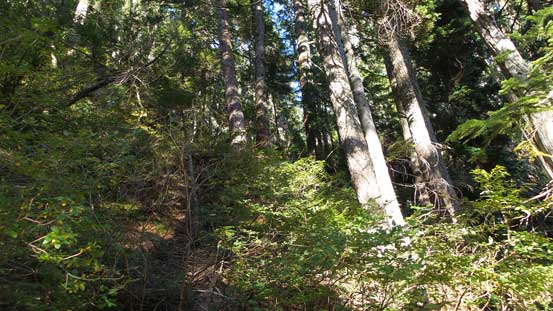 It's getting steep... 