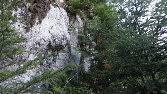 Interesting route-finding and class-3 bush scrambling required... 