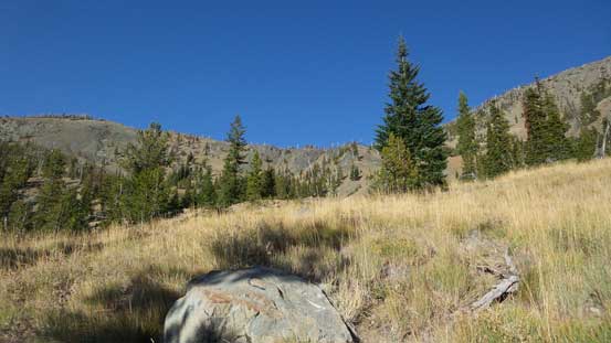 To be honest the vegetation here looks more like the Rockies.. 