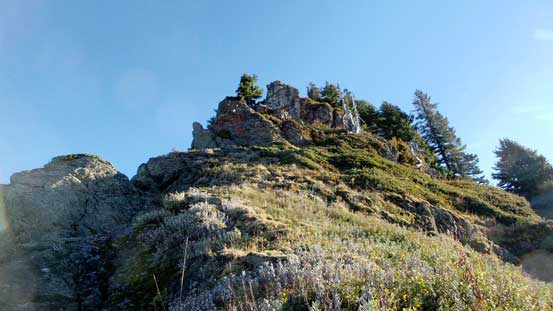 One of the open stretches. Note the frost... 