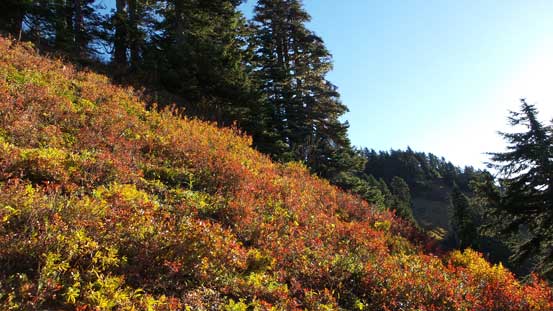 The grassy slope was steeper than appeared in this photo, and slippery.. 