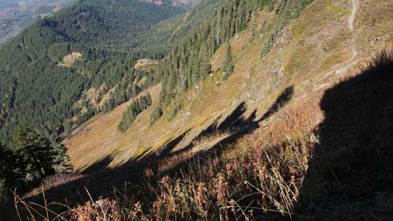This is that steep avalanche path that the trail descends