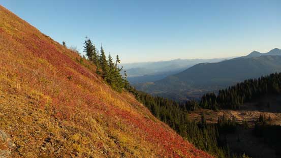Neat fall colours on the slopes of "Old Baldy"