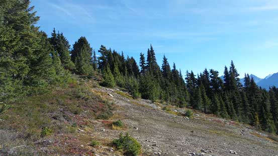 Onto the broad south ridge now, looking ahead.