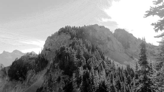 Looking back towards the summit.