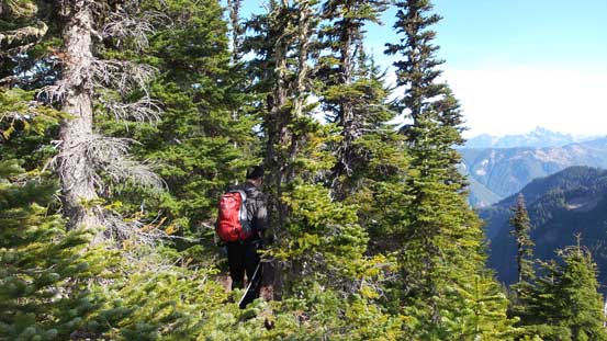More about the forested ridge traverse