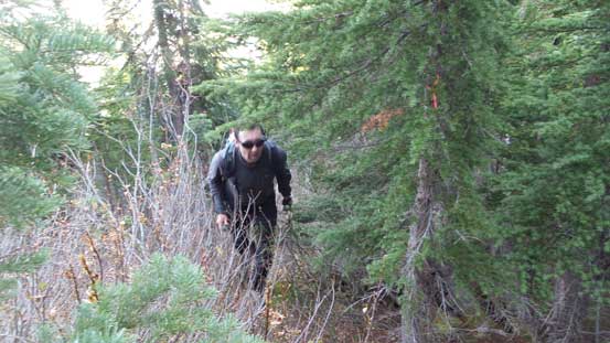 Plodding up the trail to intersect the N. Ridge of "Old Baldy"