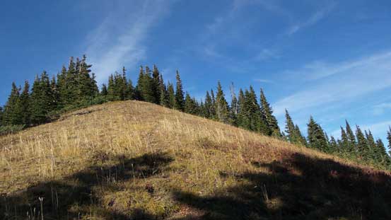 Ahead is the short diversion to tag "Windy Knob"