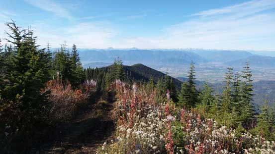 Nice and open ridge walk. This was only 10 minutes from the parking lot.
