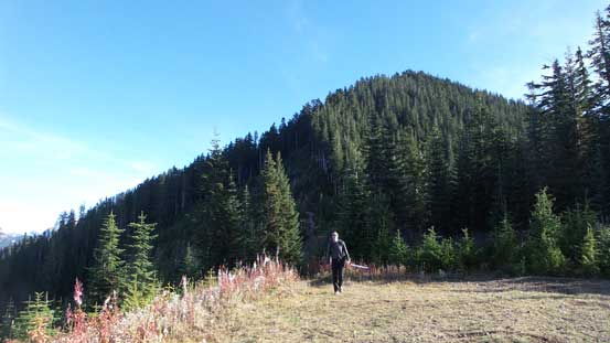 Almost done, looking back.