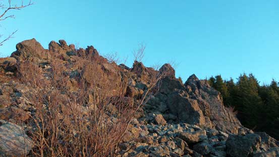 Making to the treeline