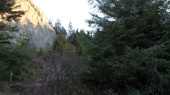 Traversing this treed bench
