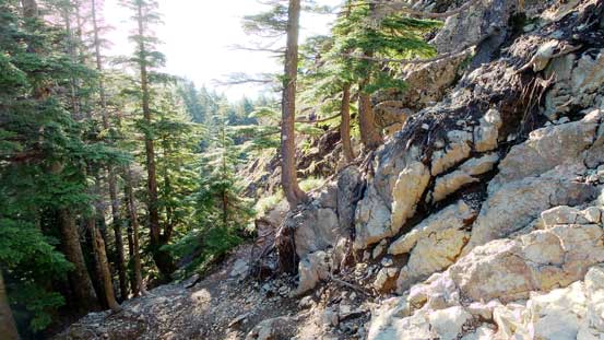 This is that treed bench to traverse beneath the Haystack