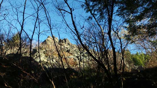 Time to head back into the forest..