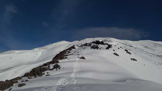 Looking ahead up the upper Monitor Ridge. I strapped snowshoes on here.