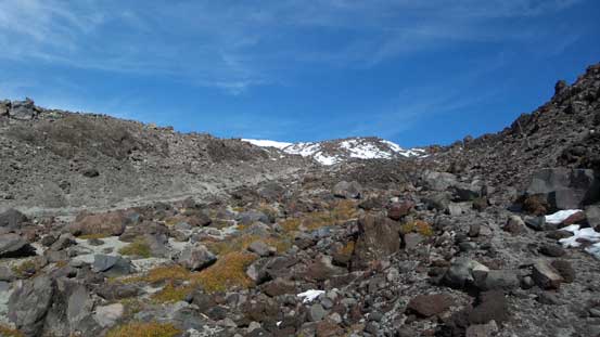 Typical terrain.