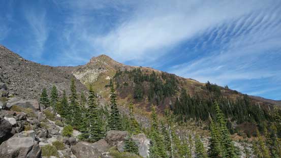 Finally down to the treeline now