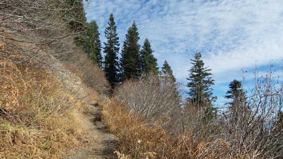 More about the trailed descent